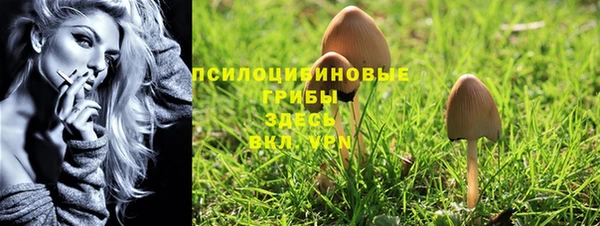 дмт Абинск