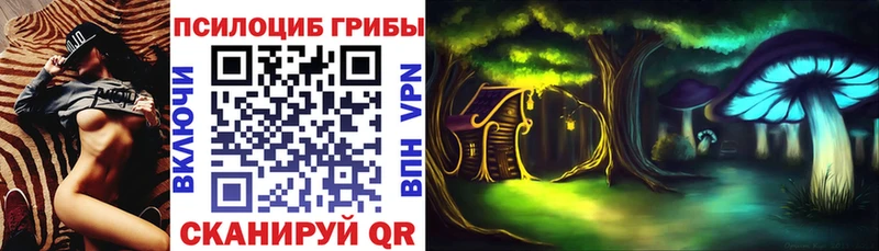 Псилоцибиновые грибы мицелий Элиста