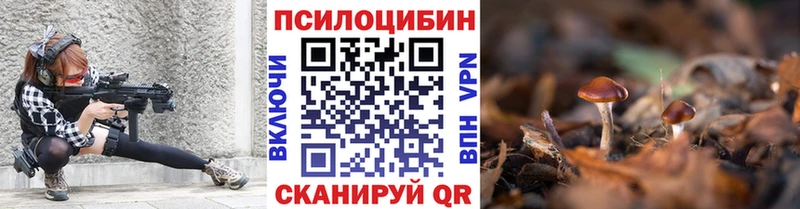 блэк спрут маркетплейс  площадка состав  Псилоцибиновые грибы Psilocybe  Элиста 