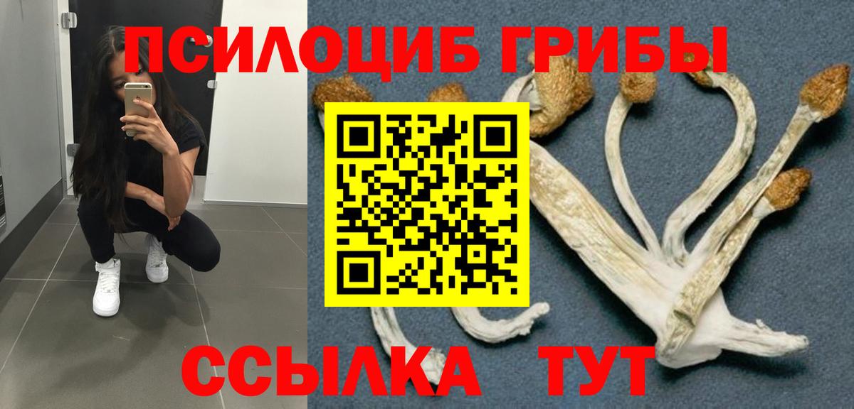 Галлюциногенные грибы GOLDEN TEACHER  Вход с VPN  Псилоцибиновые грибы GOLDEN TEACHER  Элиста 