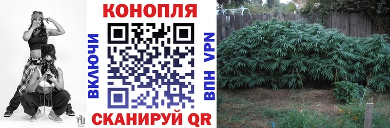 Марихуана THC 21%  закладка  Элиста 